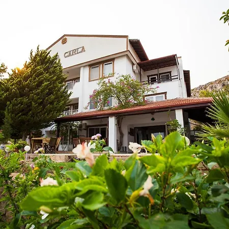 Hotel Carla *